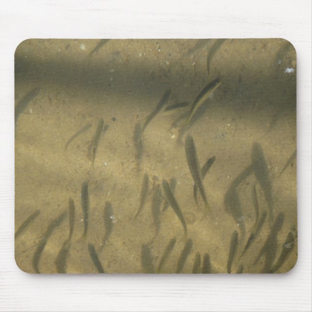 a fishy story mouse pad (Front)