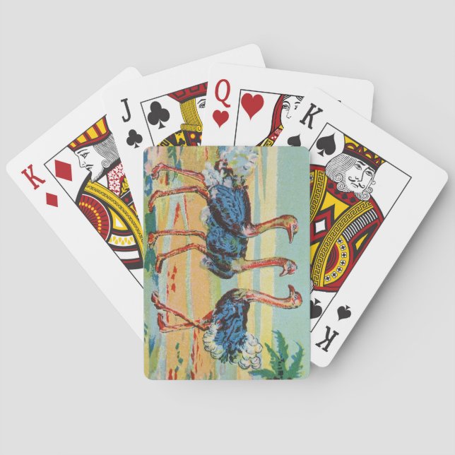 A Flamboyance of Flamingos Playing Cards (Back)