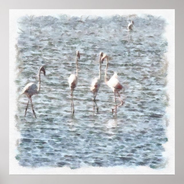 A Flamboyant Pat Of Flamingos Poster (Front)