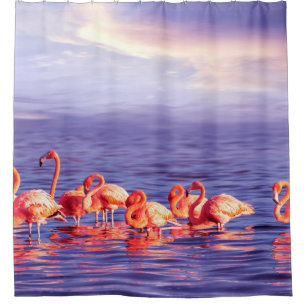 A flock of beautiful pink flamingos against a purp shower curtain