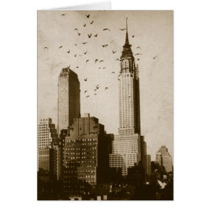 A flock of birds flying