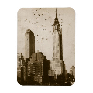 A flock of birds flying magnet