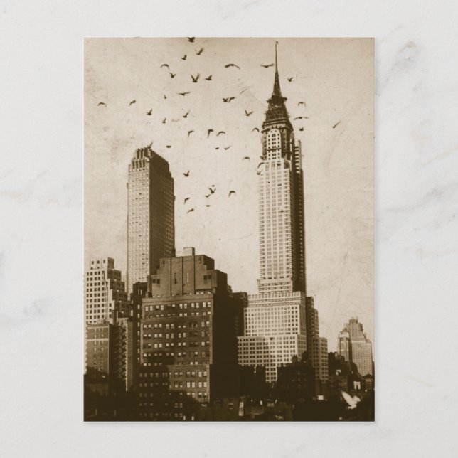 A flock of birds flying postcard (Front)