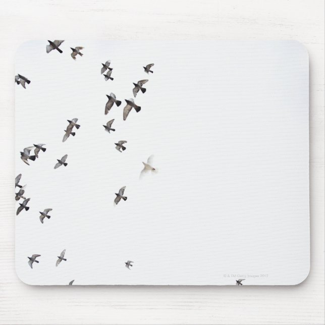 A flock of birds is flying at the sky mouse pad (Front)
