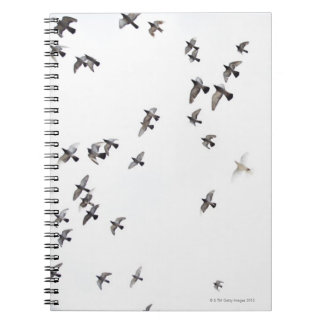A flock of birds is flying at the sky spiral notebook