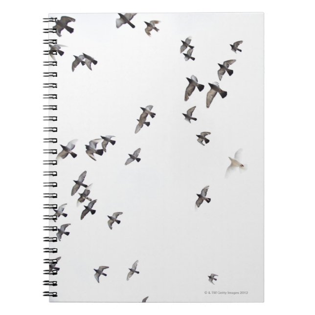 A flock of birds is flying at the sky spiral notebook (Front)