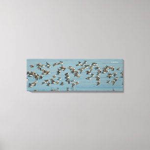 A Flock of Sanderlings Takes Flight Canvas Print
