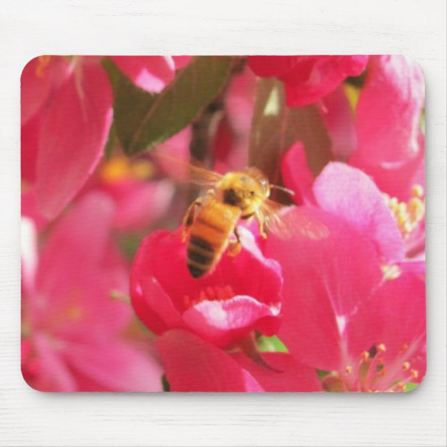 A flower for my "Honey" Bee Mine Mouse Pad (Front)