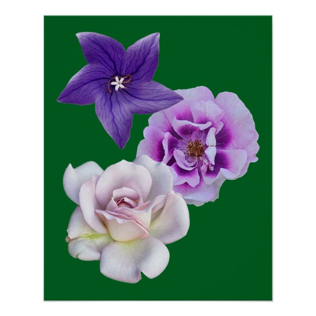 A  flower poster (Front)