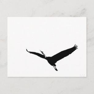 A Flying Great Heron Postcard
