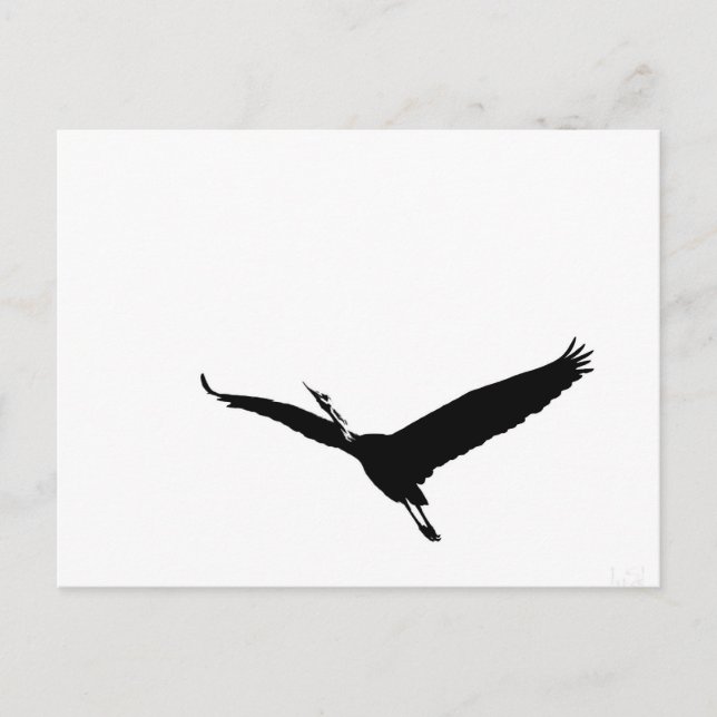 A Flying Great Heron Postcard (Front)