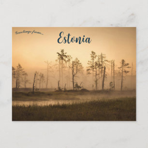 A Foggy Day in Kolga Harju County Estonia Postcard