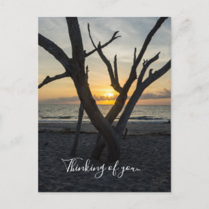 A Folly Sunrise Thinking Of You Postcard