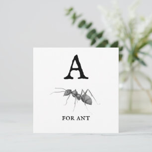 "A" for Ant