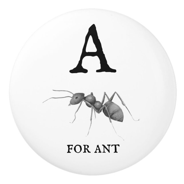 "A" for Ant  Ceramic Knob (Front)