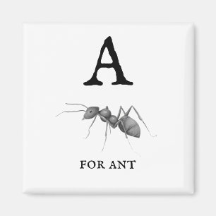"A" for Ant Magnet