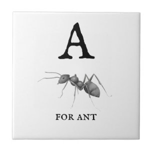 "A" for Ant  Tile