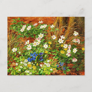 A Forest Floor with Anemones and Violets Postcard