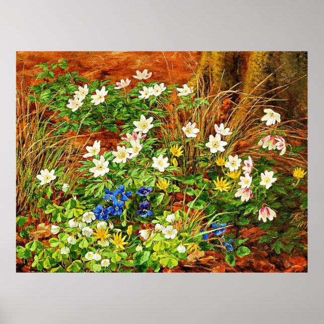 A Forest Floor with Anemones and Violets Poster (Front)