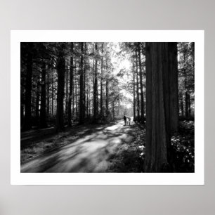 A Forest Walk: Mizumoto Park, Tokyo Poster