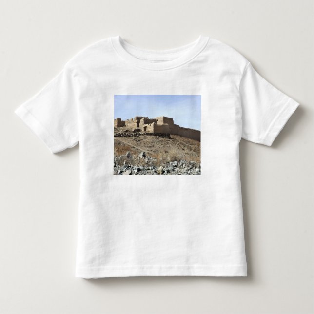 A fortified compound in the village of Akbar Kh Toddler T-Shirt (Front)