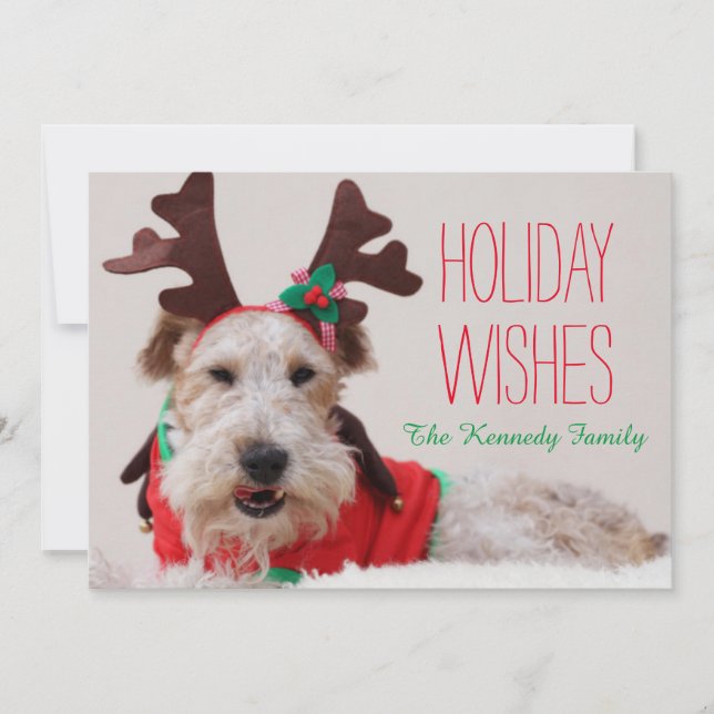 A fox terrier is dressed up for Christmas Holiday Card (Front)