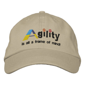 A-Frame of Mind Embroidered Hat