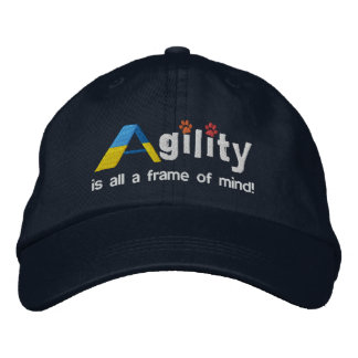A-Frame of Mind Embroidered Hat (Dark)