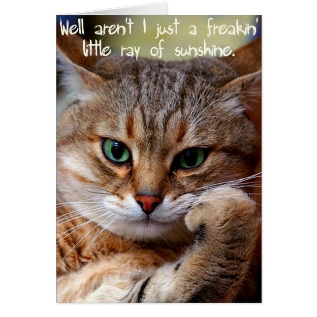 A Freakin' Ray of Sunshine (Front)