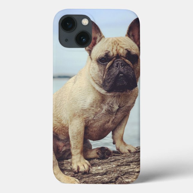 A French Bulldog Case-Mate iPhone Case (Back)