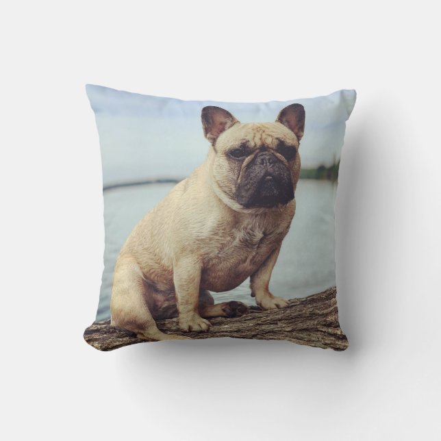 A French Bulldog Cushion (Front)