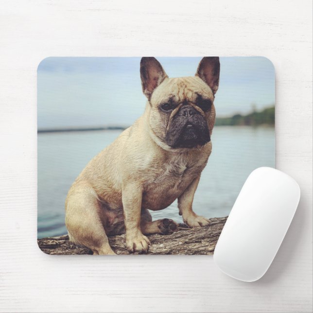 A French Bulldog Mouse Pad (With Mouse)