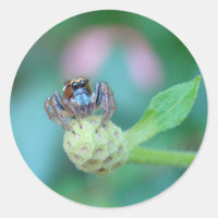 A Friend for Jumping Jack!