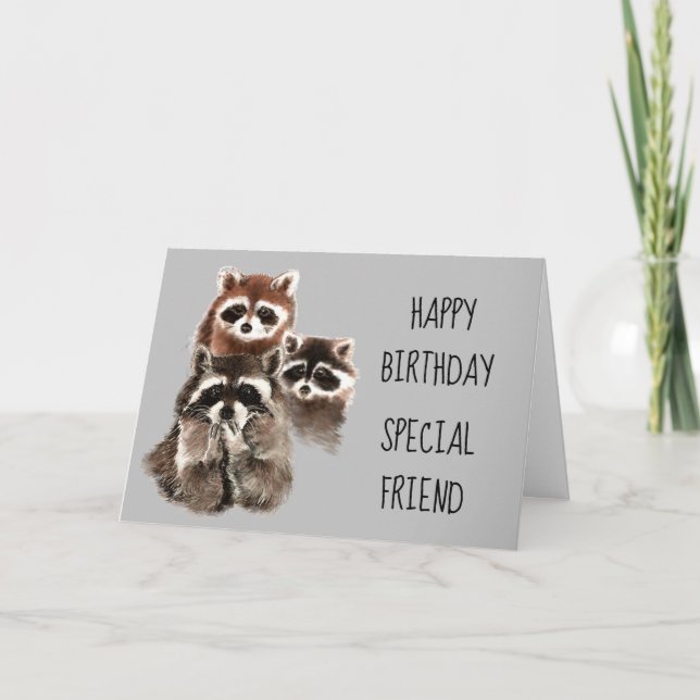 A Friend Like You Journey Raccoon Birthday Fun Card (Front)