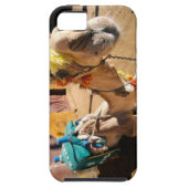 A friendly camel awaits its next rider, Cairo, Case-Mate iPhone Case (Back)