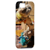 A friendly camel awaits its next rider, Cairo, Case-Mate iPhone Case (Back/Right)