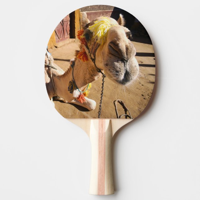 A friendly camel awaits its next rider, Cairo, Ping Pong Paddle (Front)