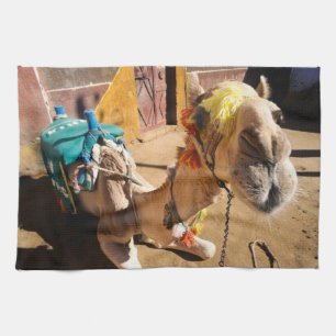 A friendly camel awaits its next rider, Cairo, Tea Towel