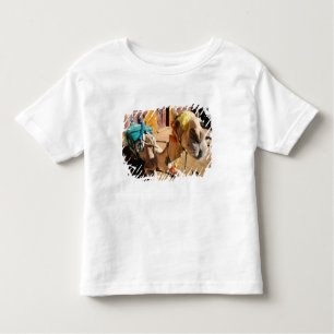 A friendly camel awaits its next rider, Cairo, Toddler T-Shirt