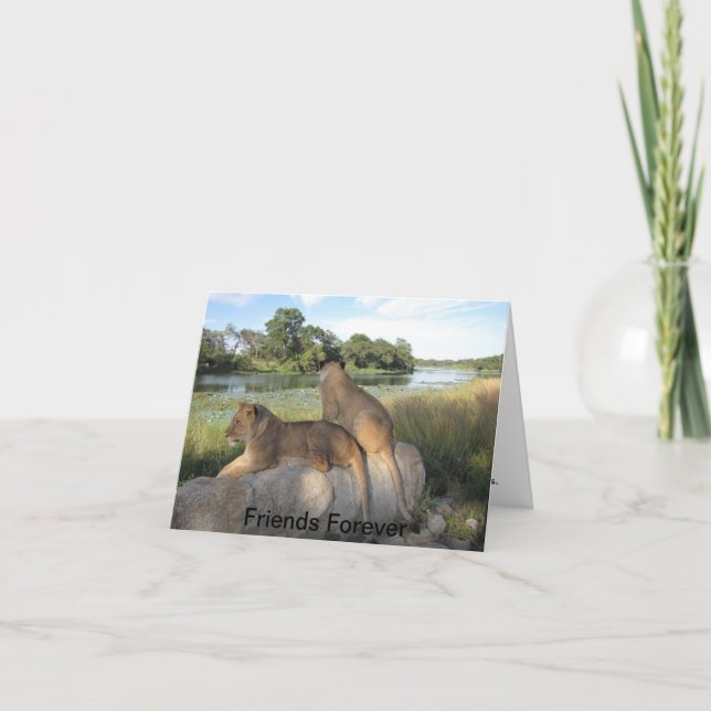 A Friendship Card (Front)