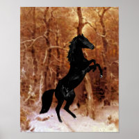 A friesian in winter snow