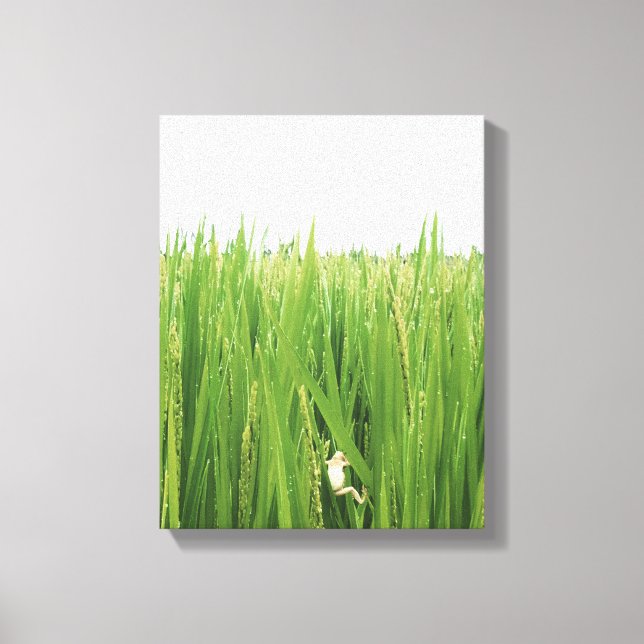 A Frog Climbing Up Fresh Grasses Canvas Print (Front)