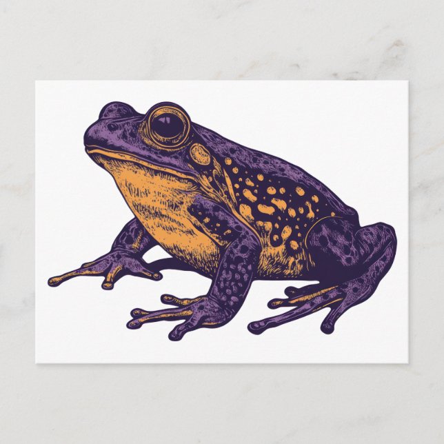 A frog illustration - l postcard (Front)
