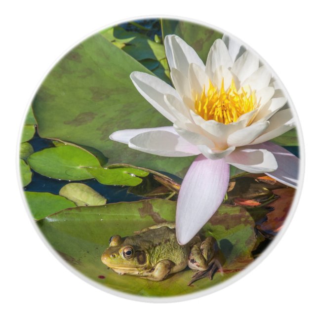 A frog under a water lily flower ceramic knob (Front)