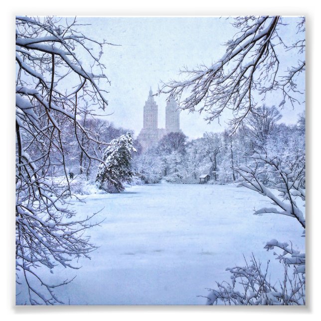 A Frozen Pond In Central Park Photo Print (Front)