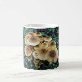 A  Funky fungi mug to go with breakfast