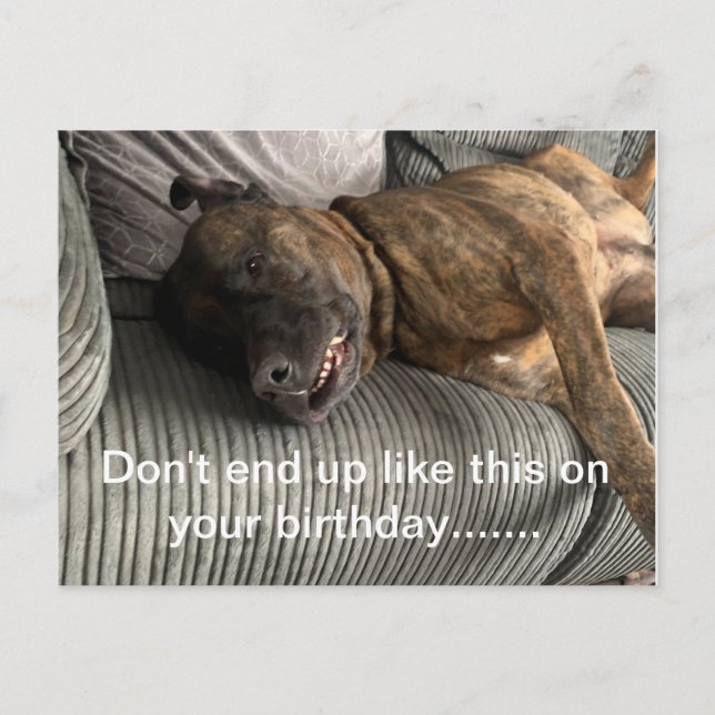 A funny Bull Mastiff postcard (Front)