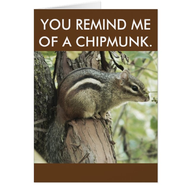 A funny chipmunk card that is simplistic and cute! (Front)