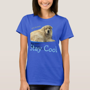 A funny t-shirt featuring a Golden Retriever.