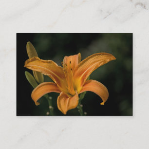 A Garden Delight Mini Print Business Card